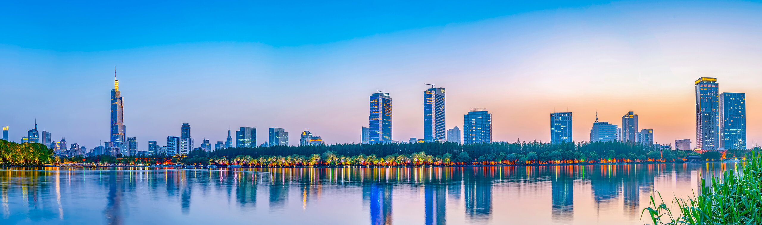 外商独资企业登记