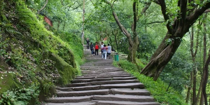 黄桷古道 黄桷古道