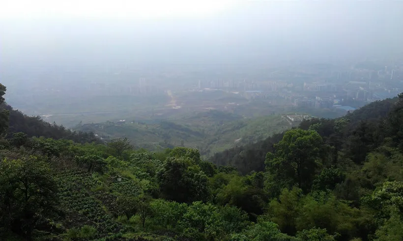 缙云山